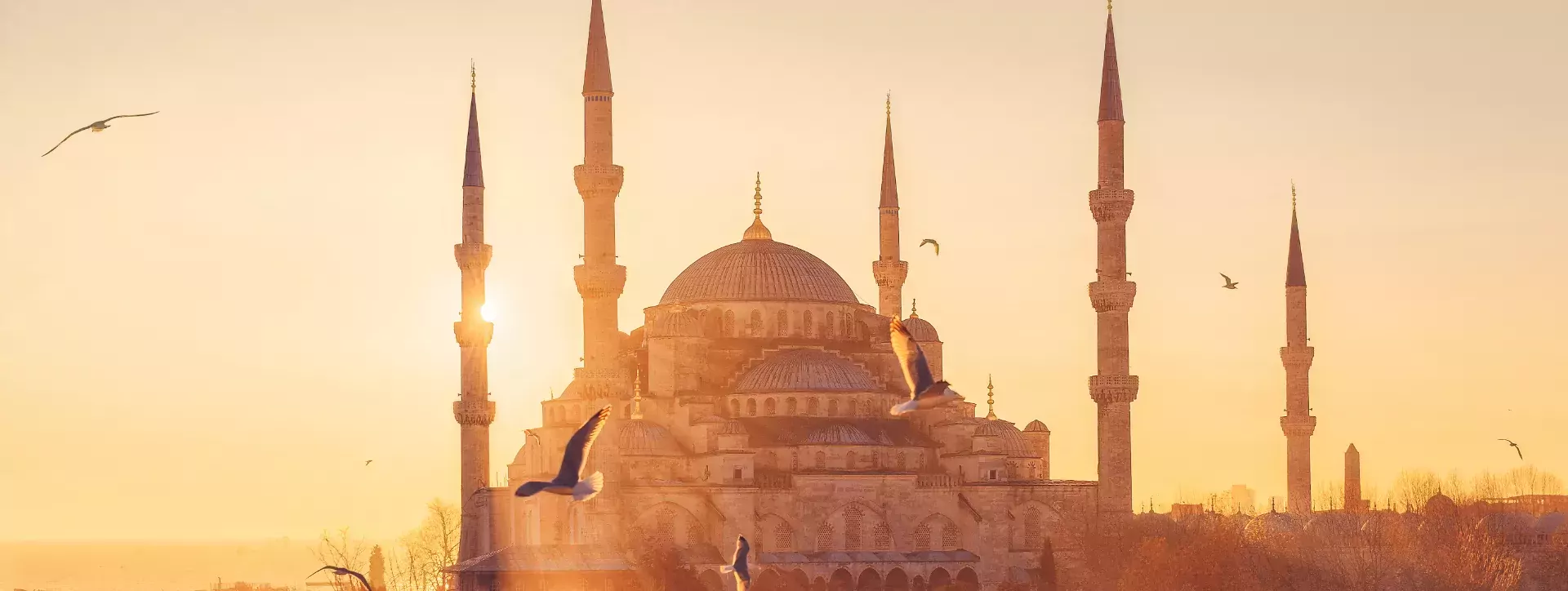 Zonsondergang bij de blauwe moskee in Istanbul, Turkije 2