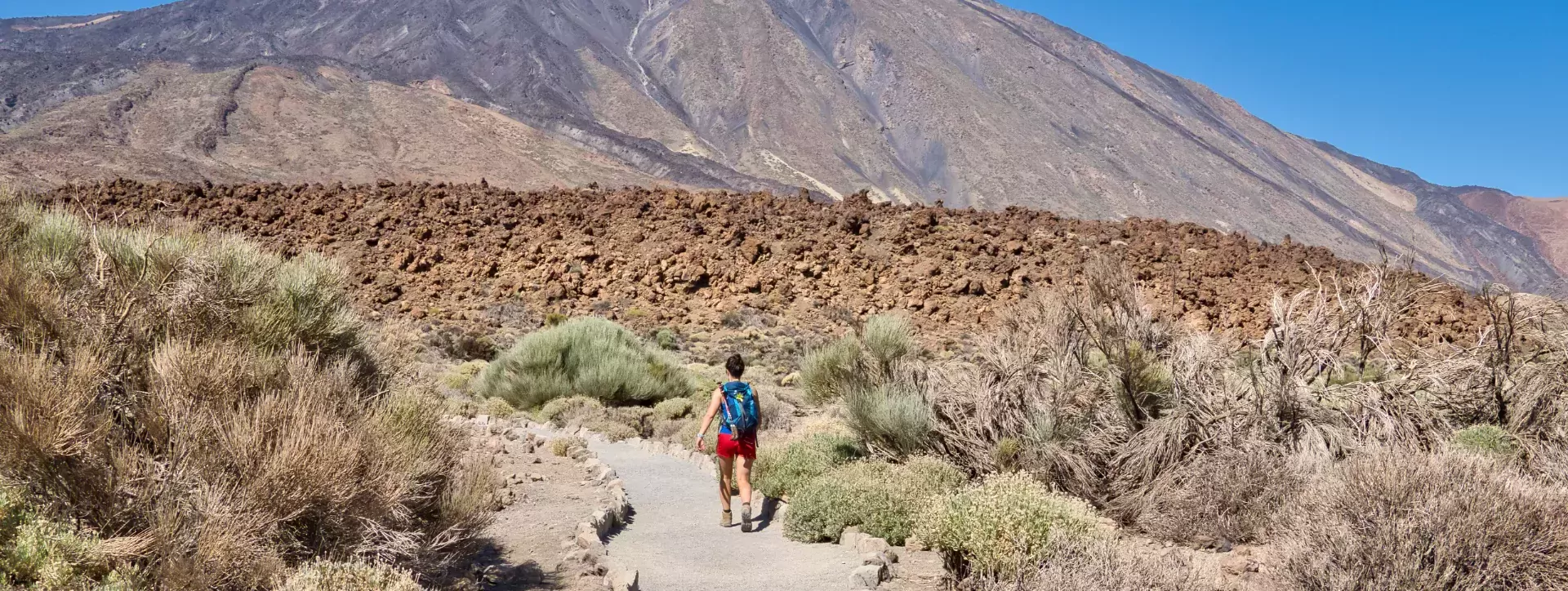 Wandelaar in Teide National Park