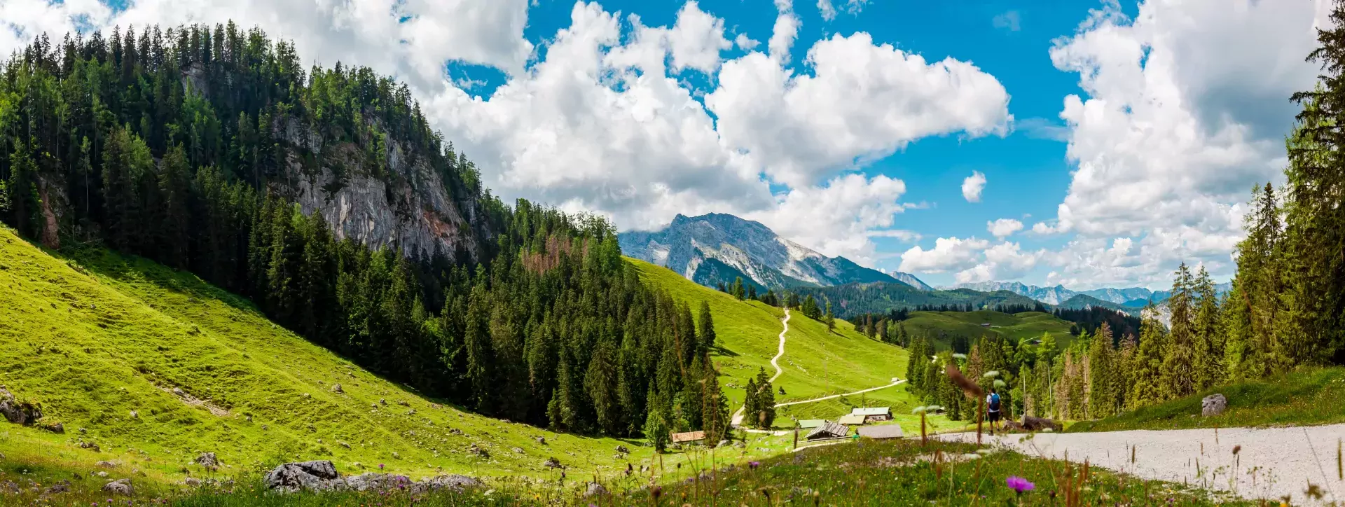 Mountain Jenner, Route Mitterkaseralm. Wandelen in Nationaal park Berchtesgadener Land in Zomer Duitsland