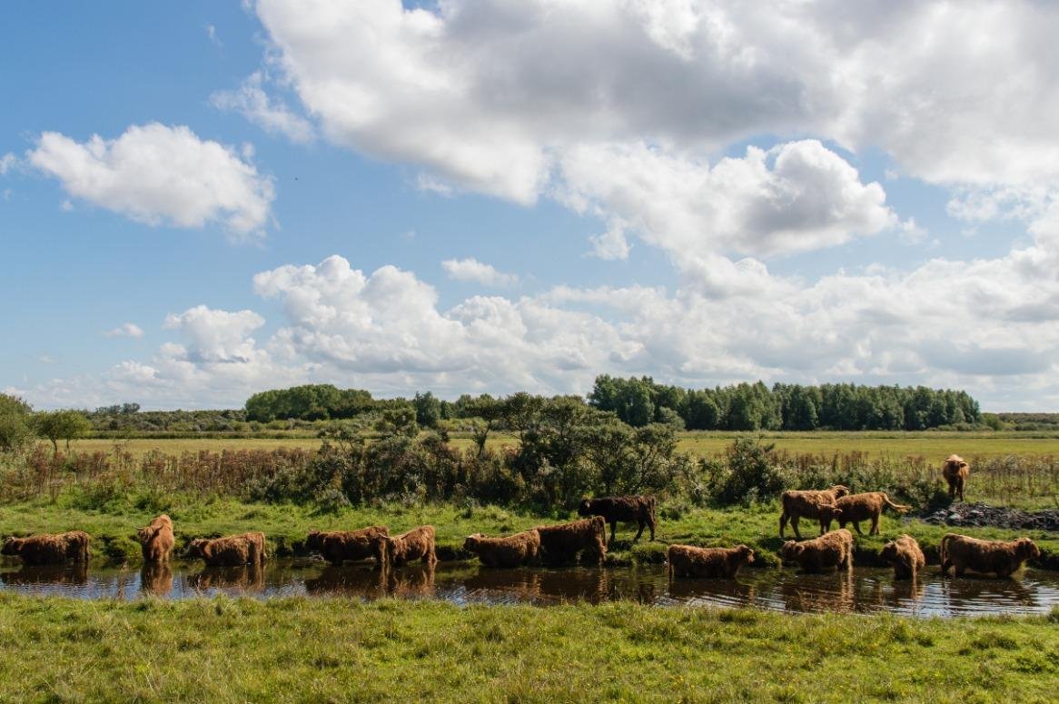 Nederland_Groningen_Lauwersmeer