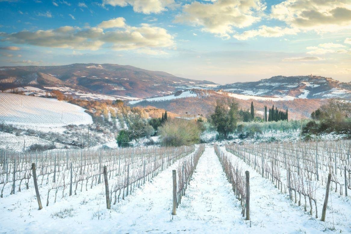 Toscane winter