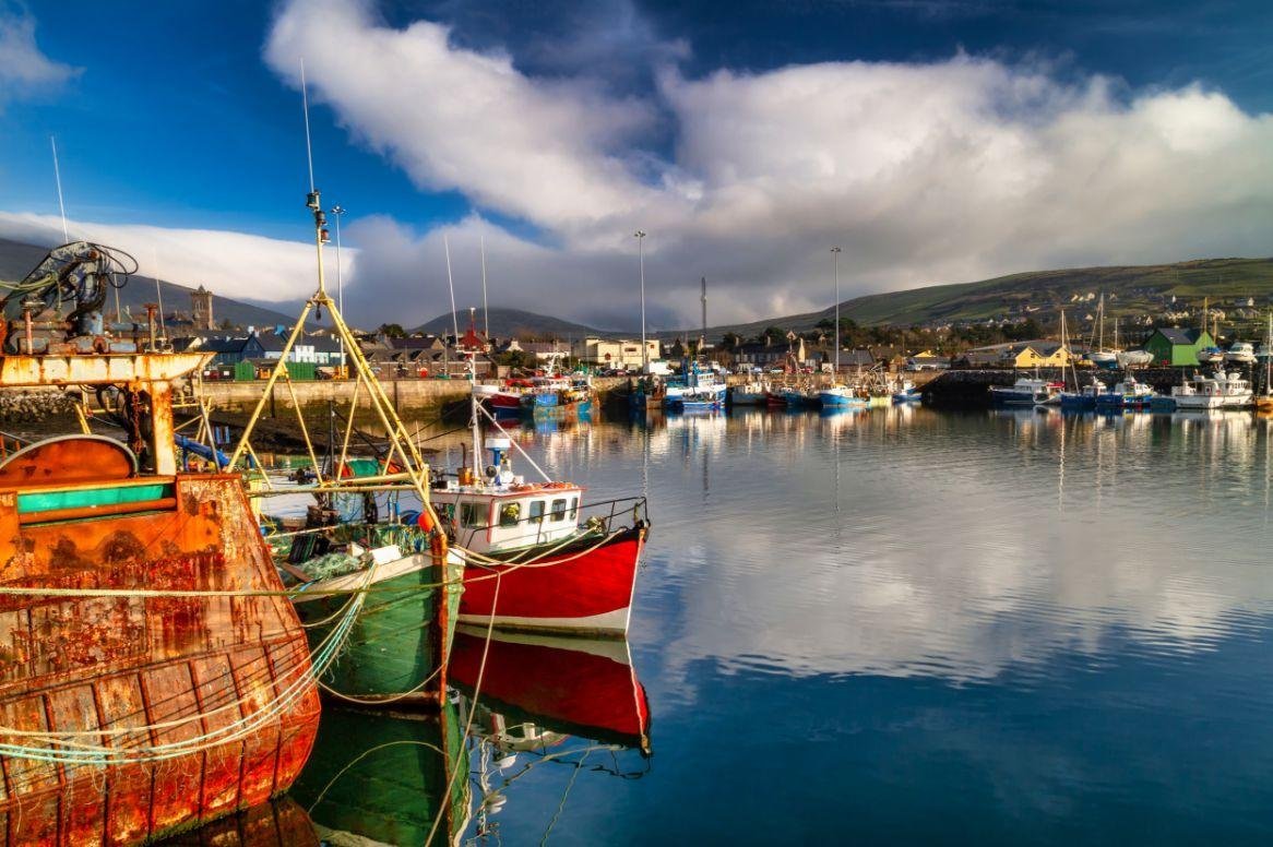 Single reis Ierland