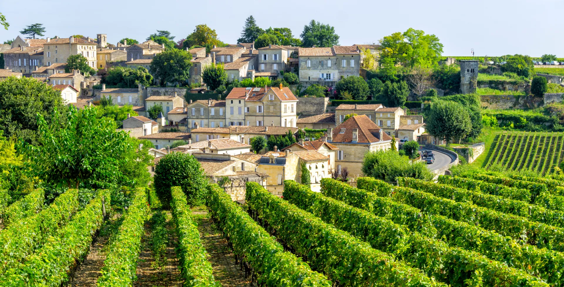 Wijngaarden in Saint Emilion in Bordeaux in Frankrijk