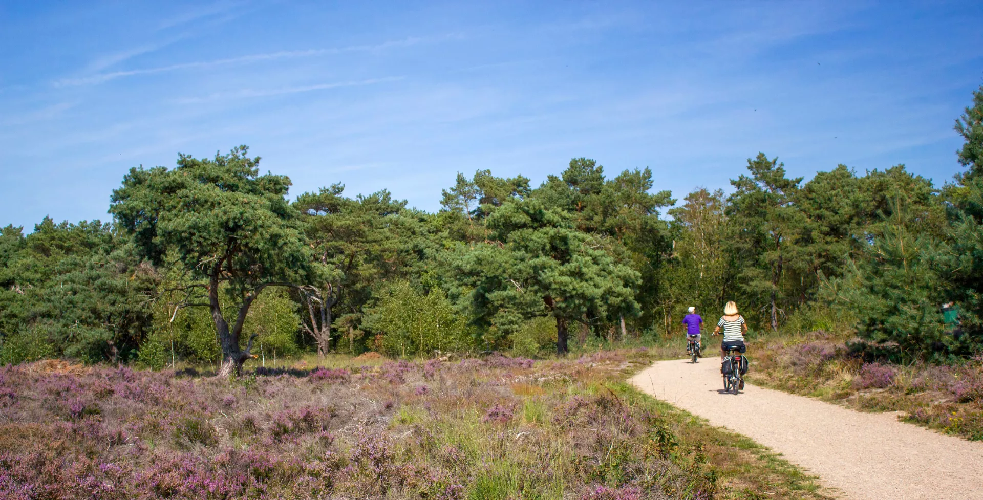 Fietsen door Nationaal Park de Maasduinen in Limburg, Nederland