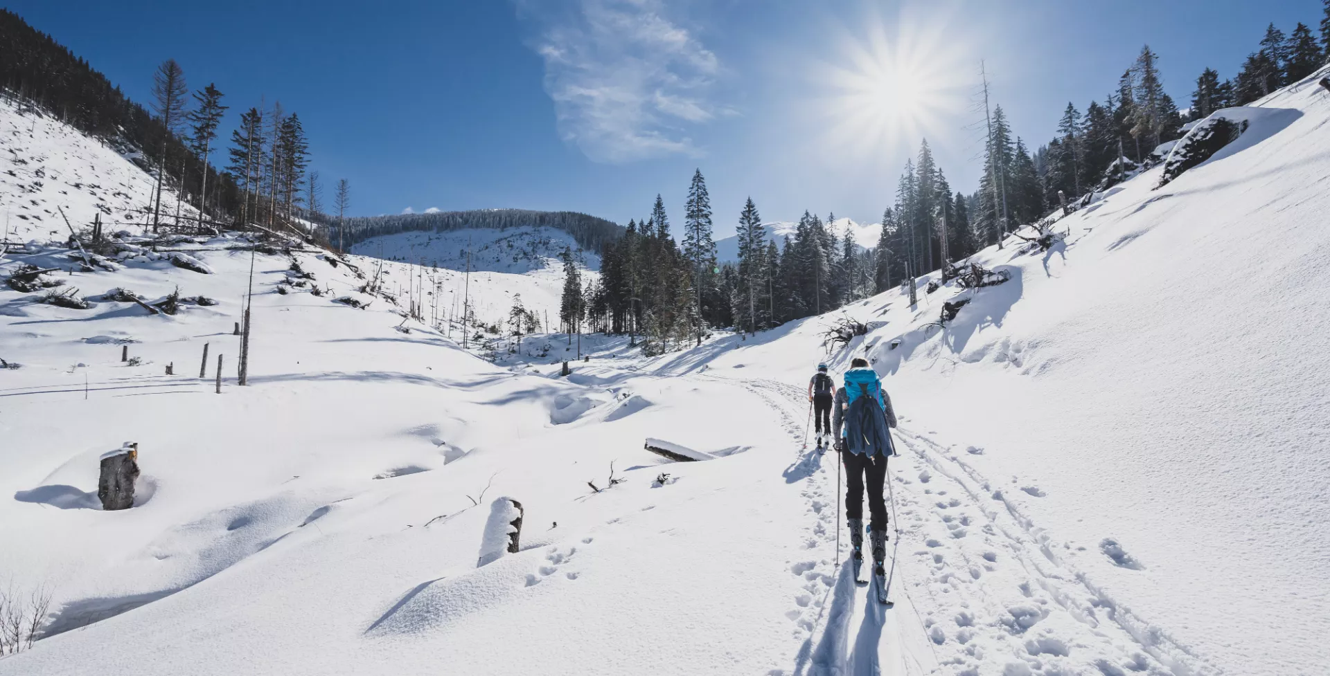 Langlaufen, skiën in de besneeuwde bergen Wintersport Canada