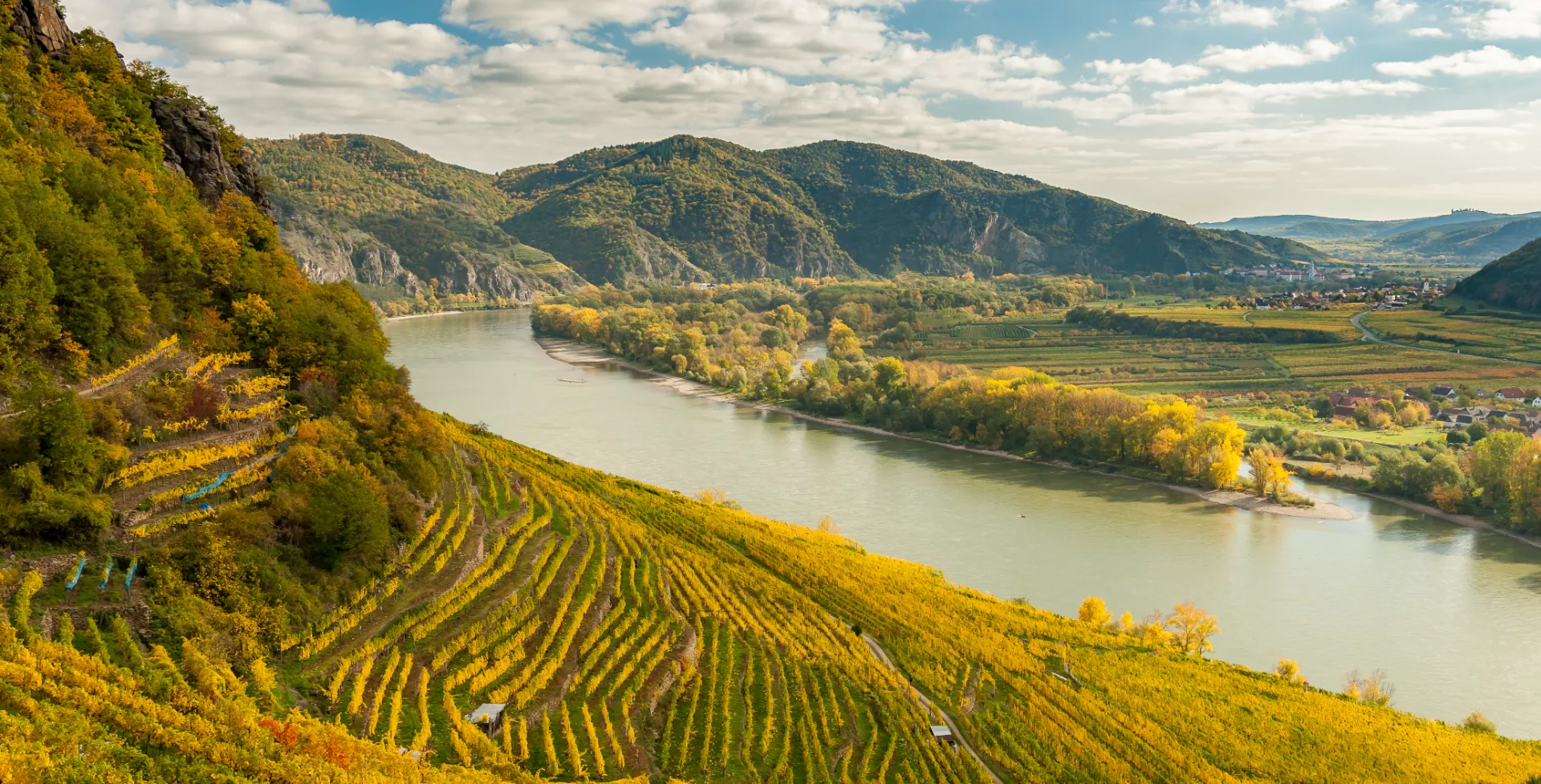 Wijngaarden in Wachau in Oostenrijk