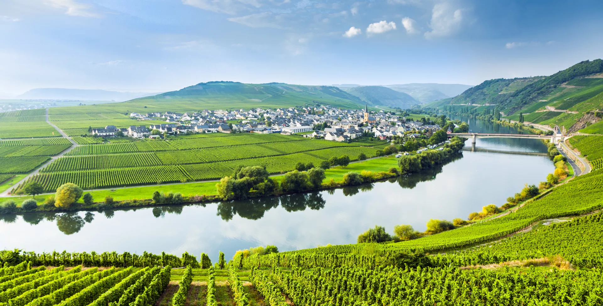 Wijngaarden bij de Moezel in Trittenheim in Duitsland