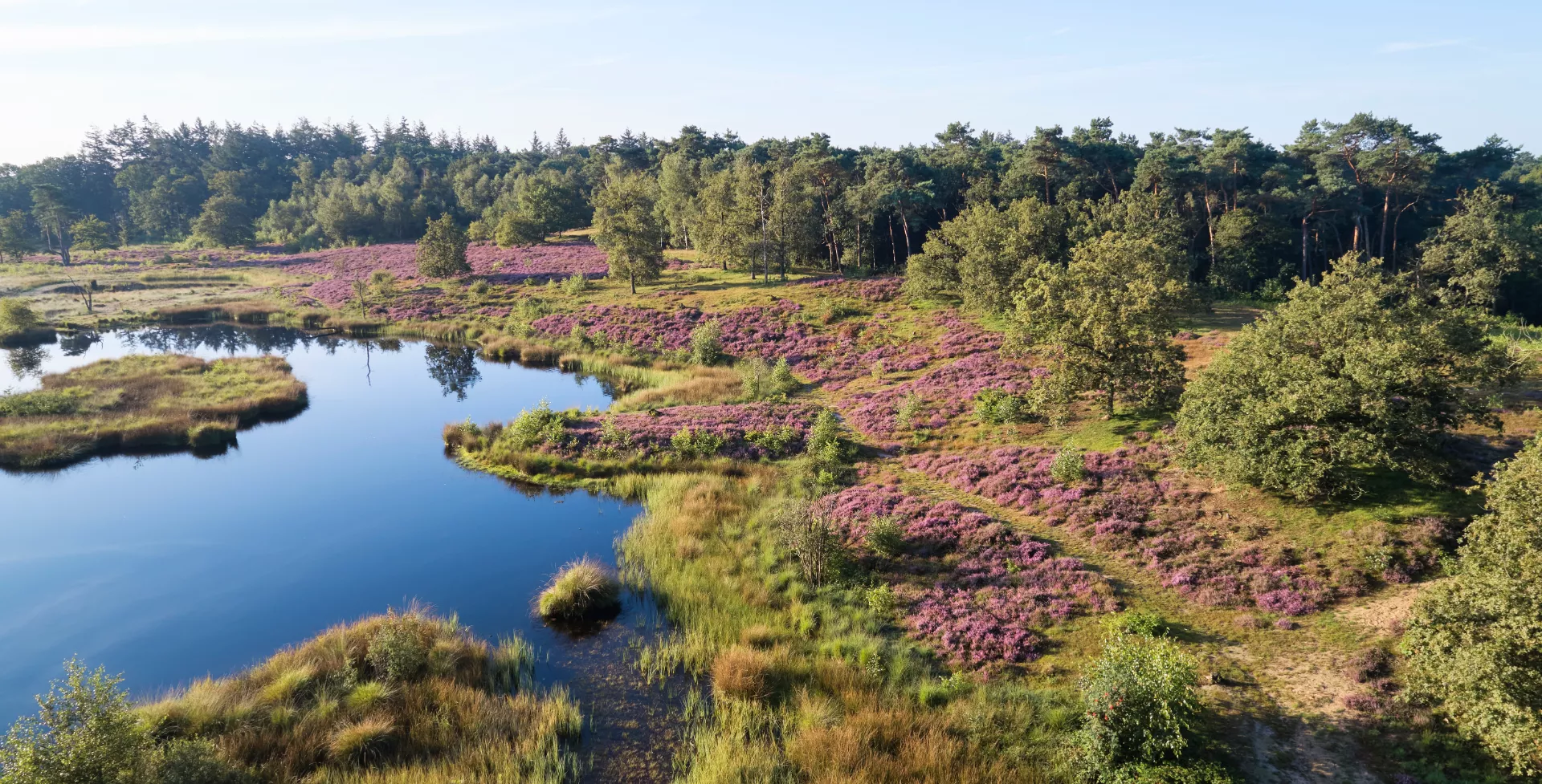 Haterse en Overasseltse Vennen dichtbij Nijmegen, Gelderland, Nederland