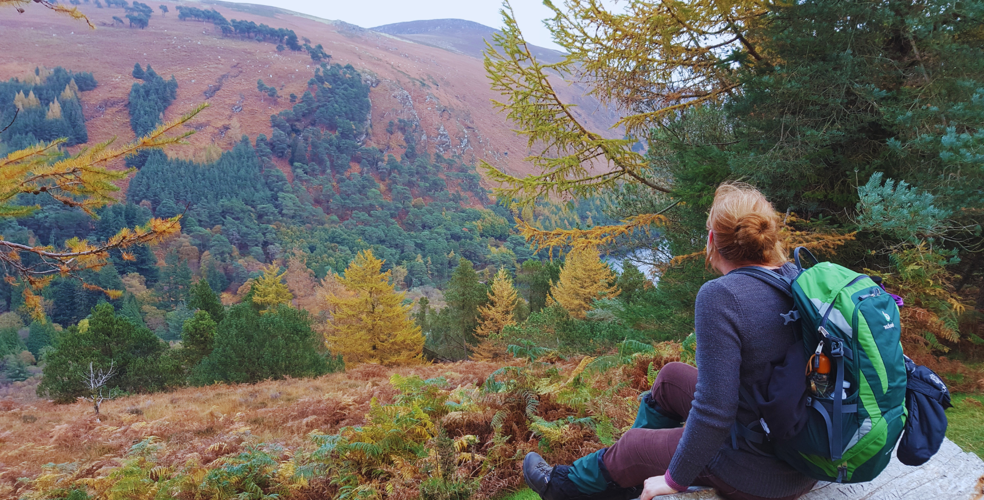Wicklow Mountains Ierland - Blog Banner