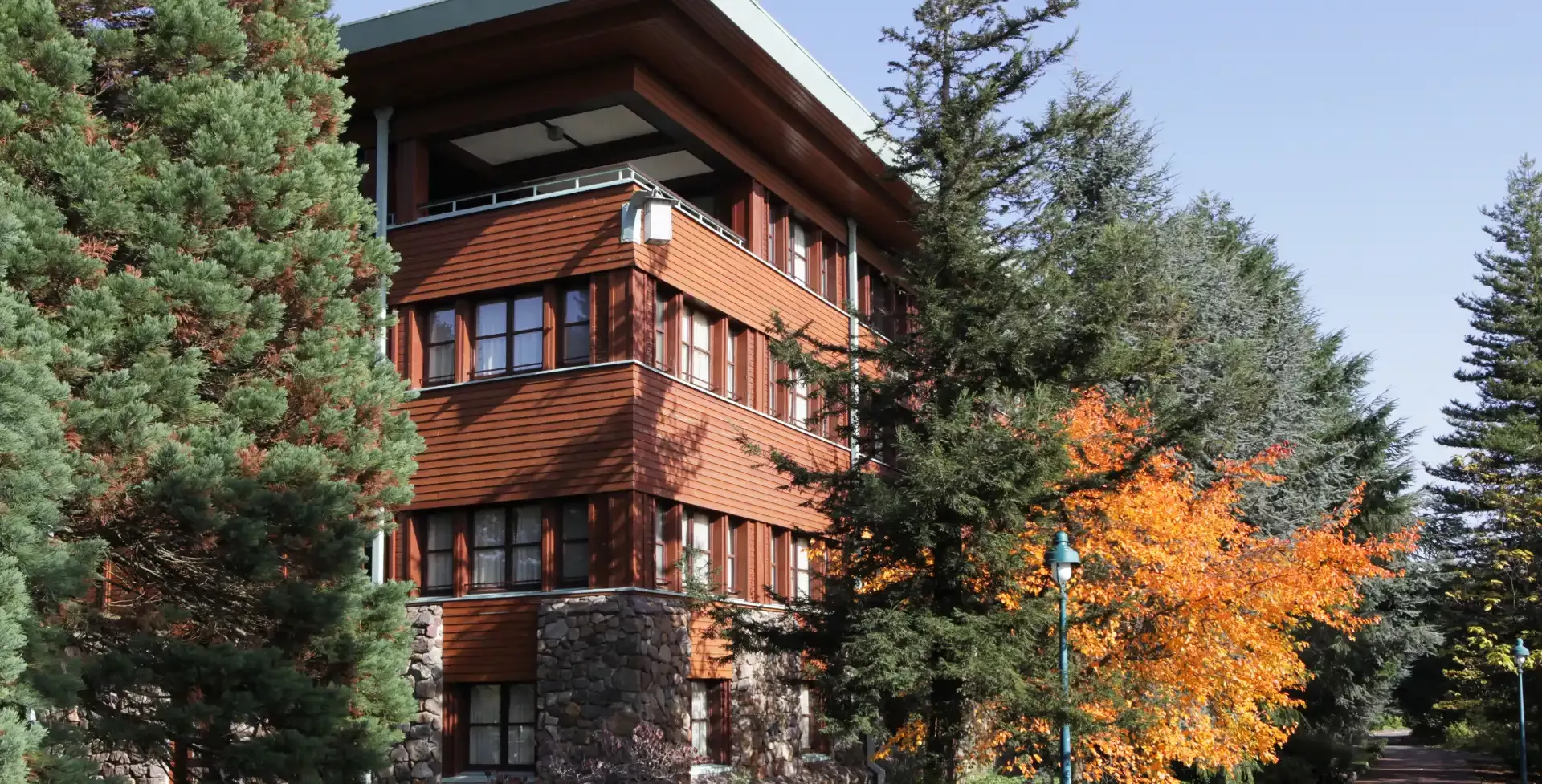 Disney Sequoia Lodge