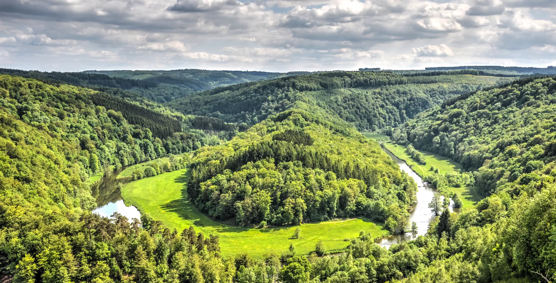 Uitzicht over de bossen van de Ardennen in België