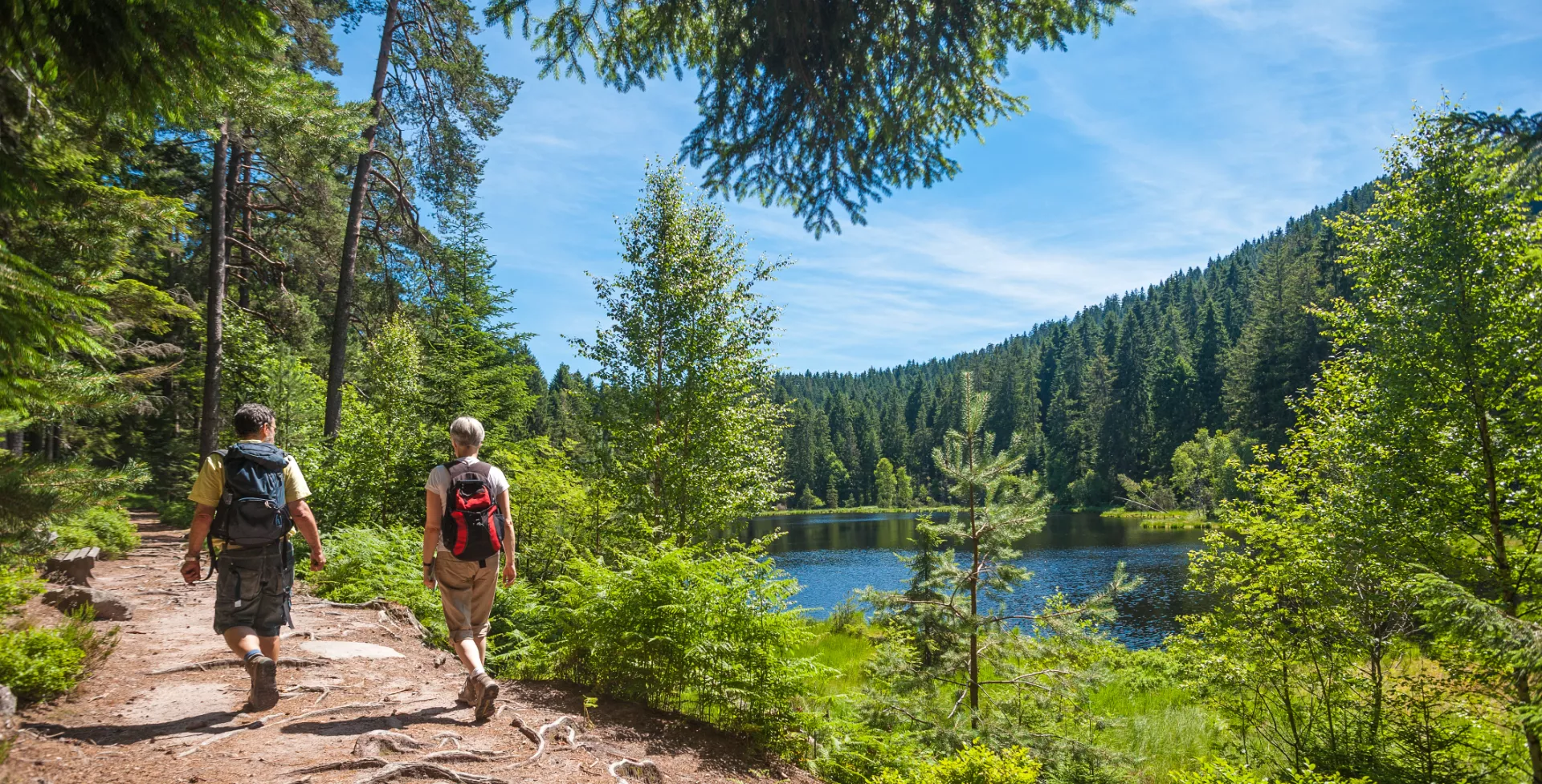 Wandelaars in het Zwarte Woud, Herrenwieser See in Duitsland