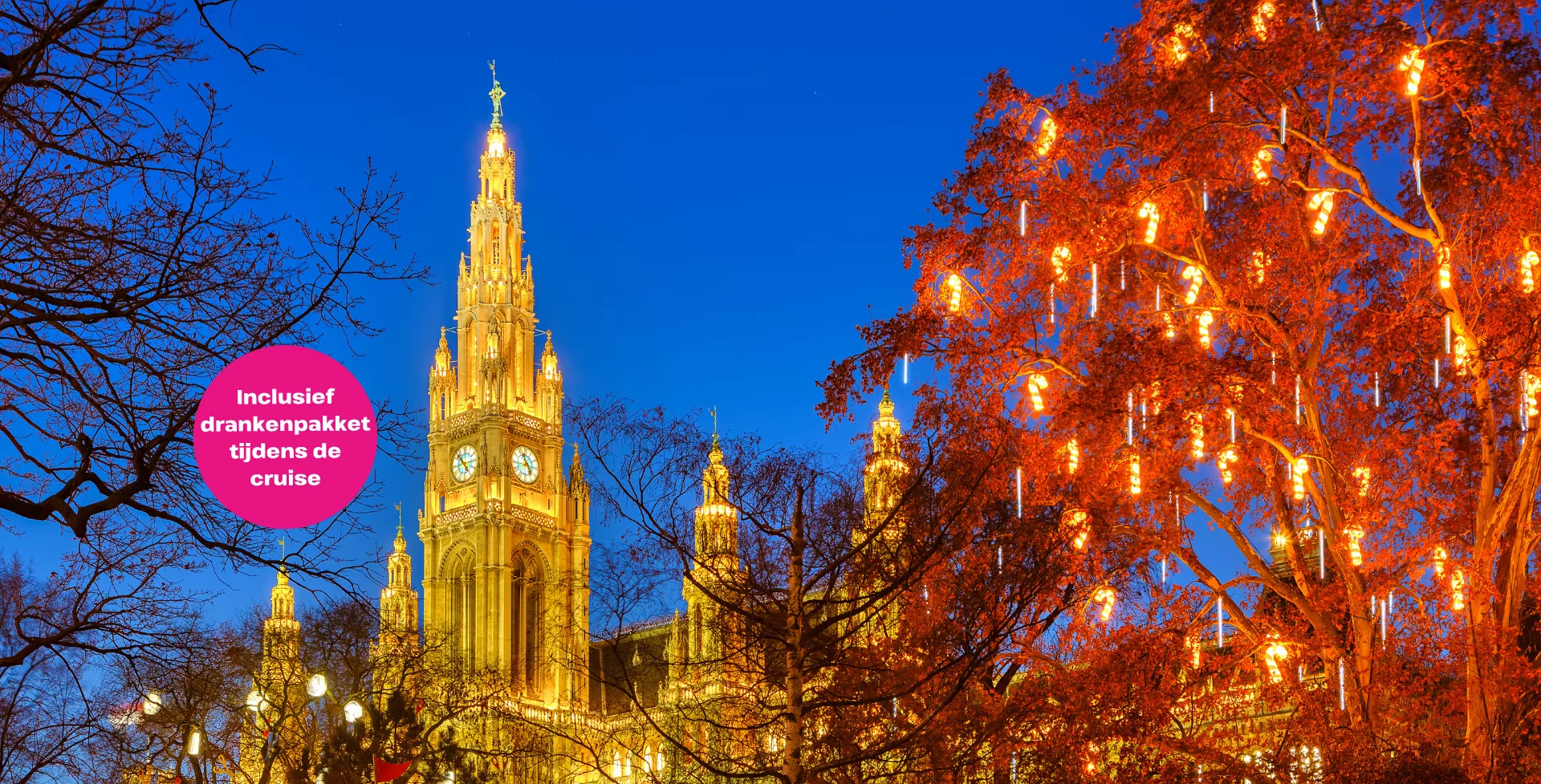 Kerst in Wenen - Kerstcruise over de Donau incl. drankenpakket