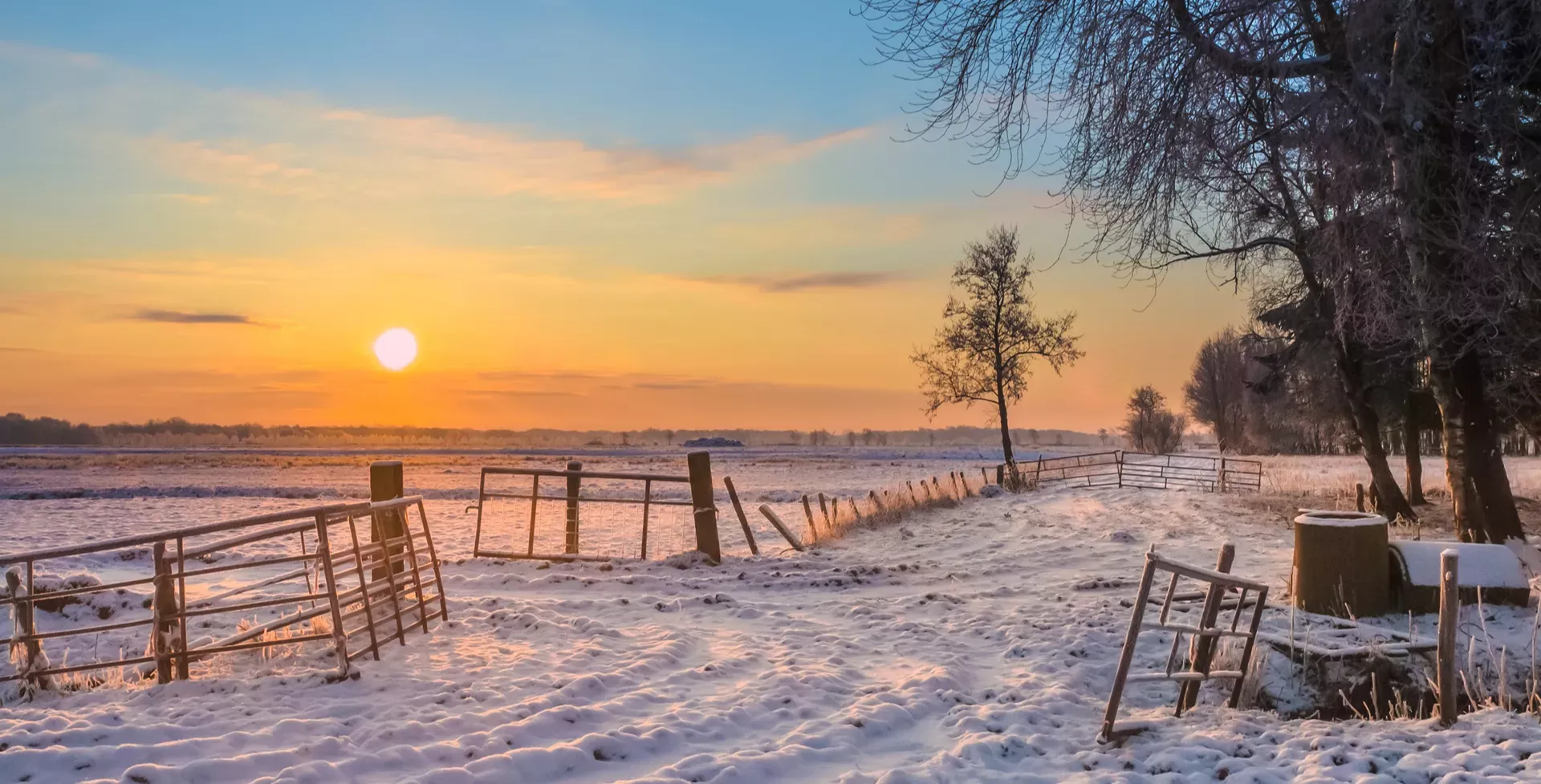Drenthe winter