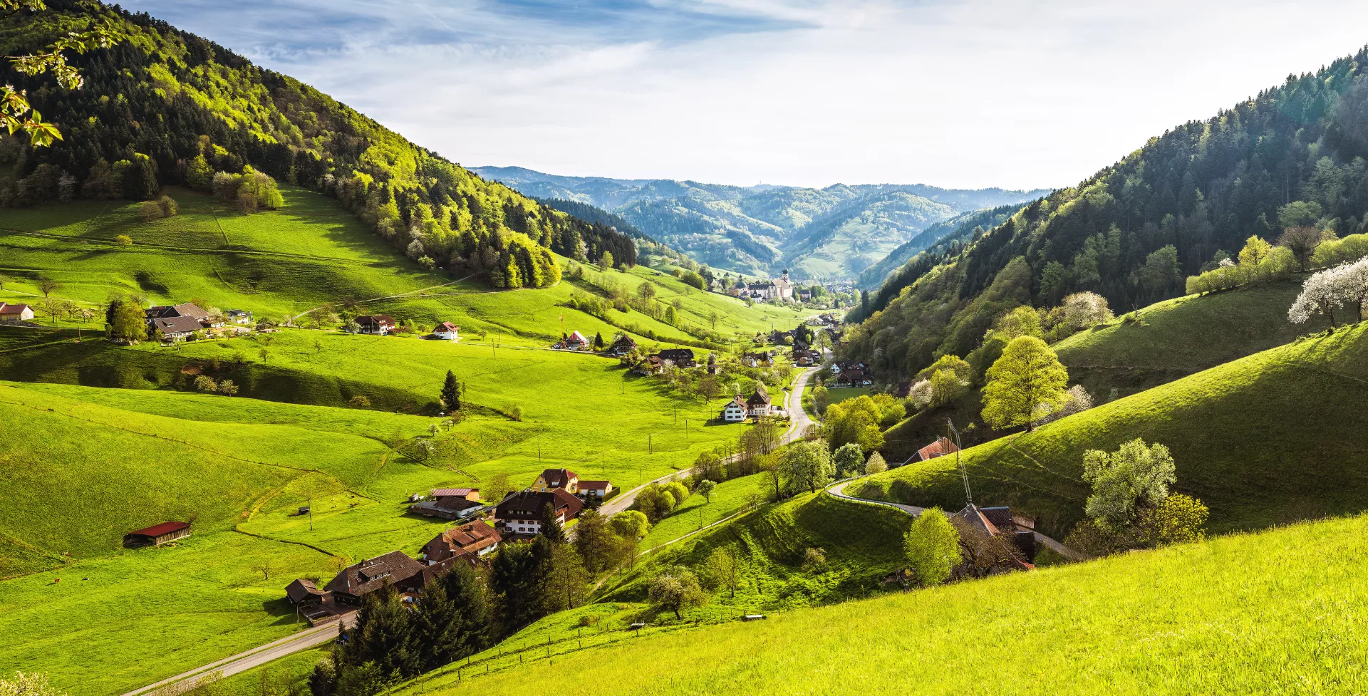 BEDE55-Duitsland-Het zwarte woud