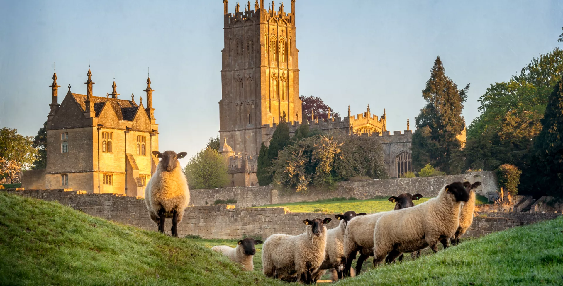 Schapen in het veld bij Gloucestershire kerk in CotswoldsGroot-Brittannië