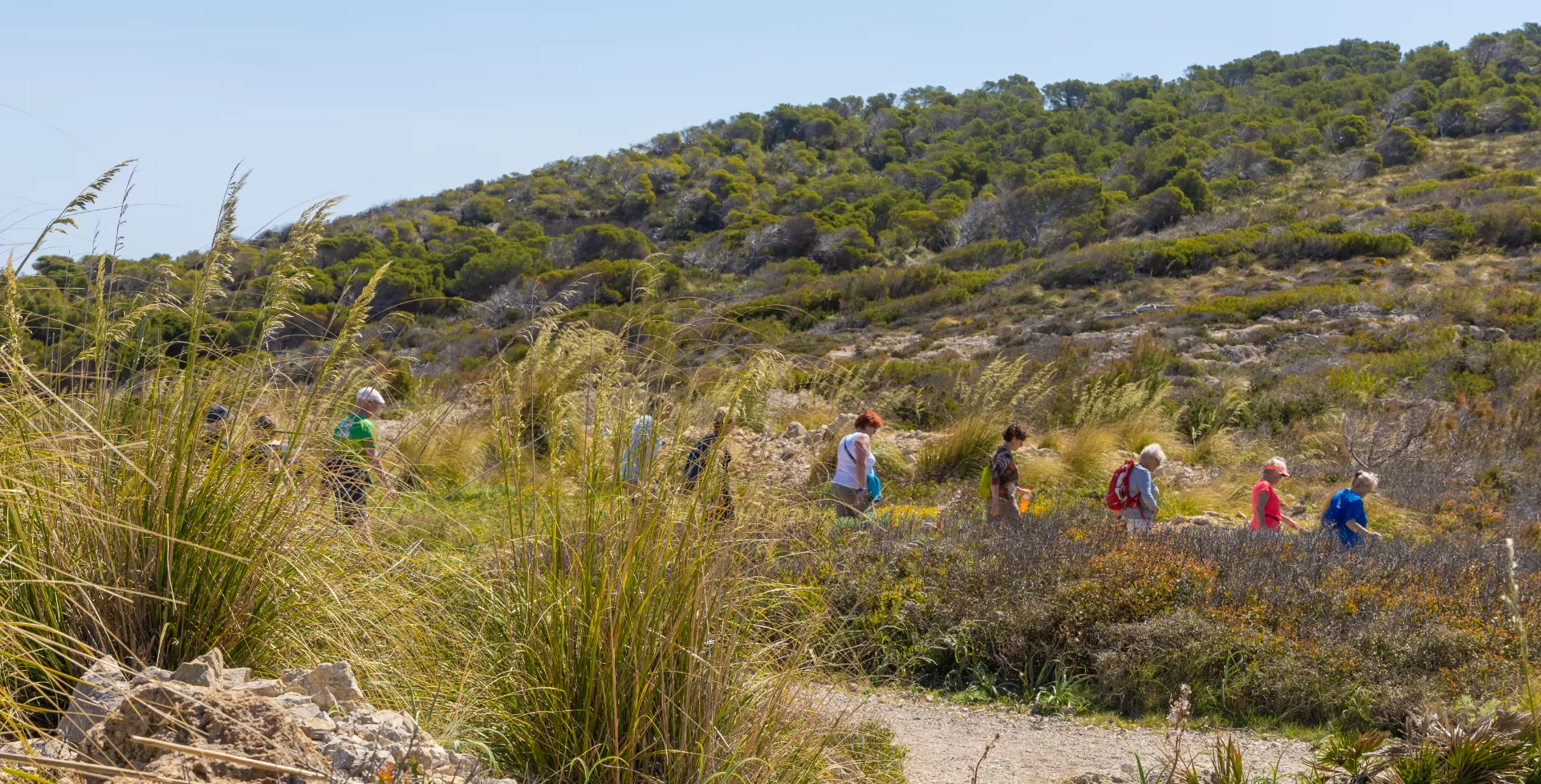 OSES25-Wandel 4-daagse Marbella 1920 x 977