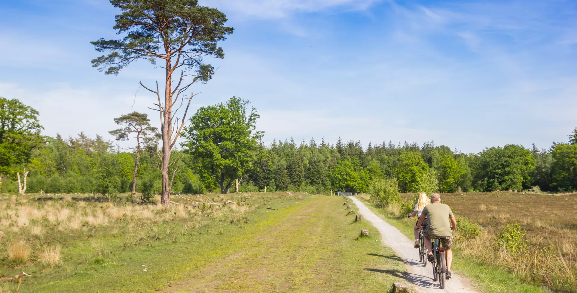 Fietsen door bossige gebieden in Drenthe, Nederland