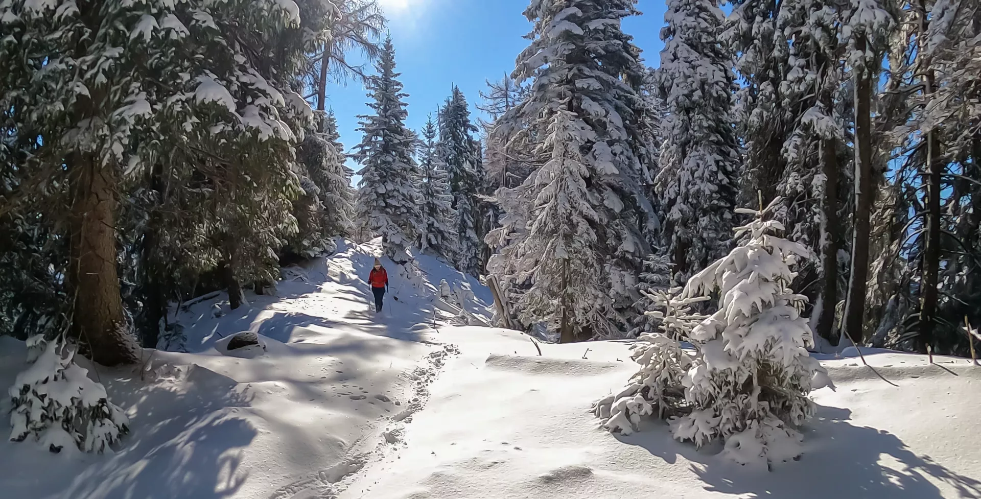 Wandelaar in Karinthië