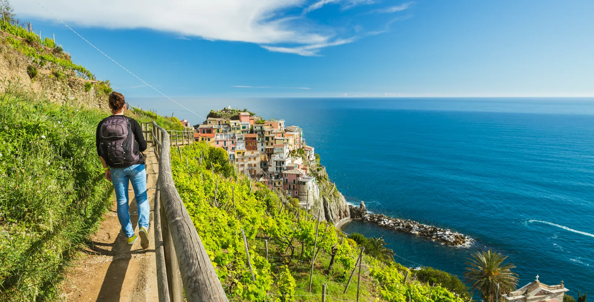 Wandelpad langs wijngaarden en de kust van Liguria, Cinque Terre, Italië