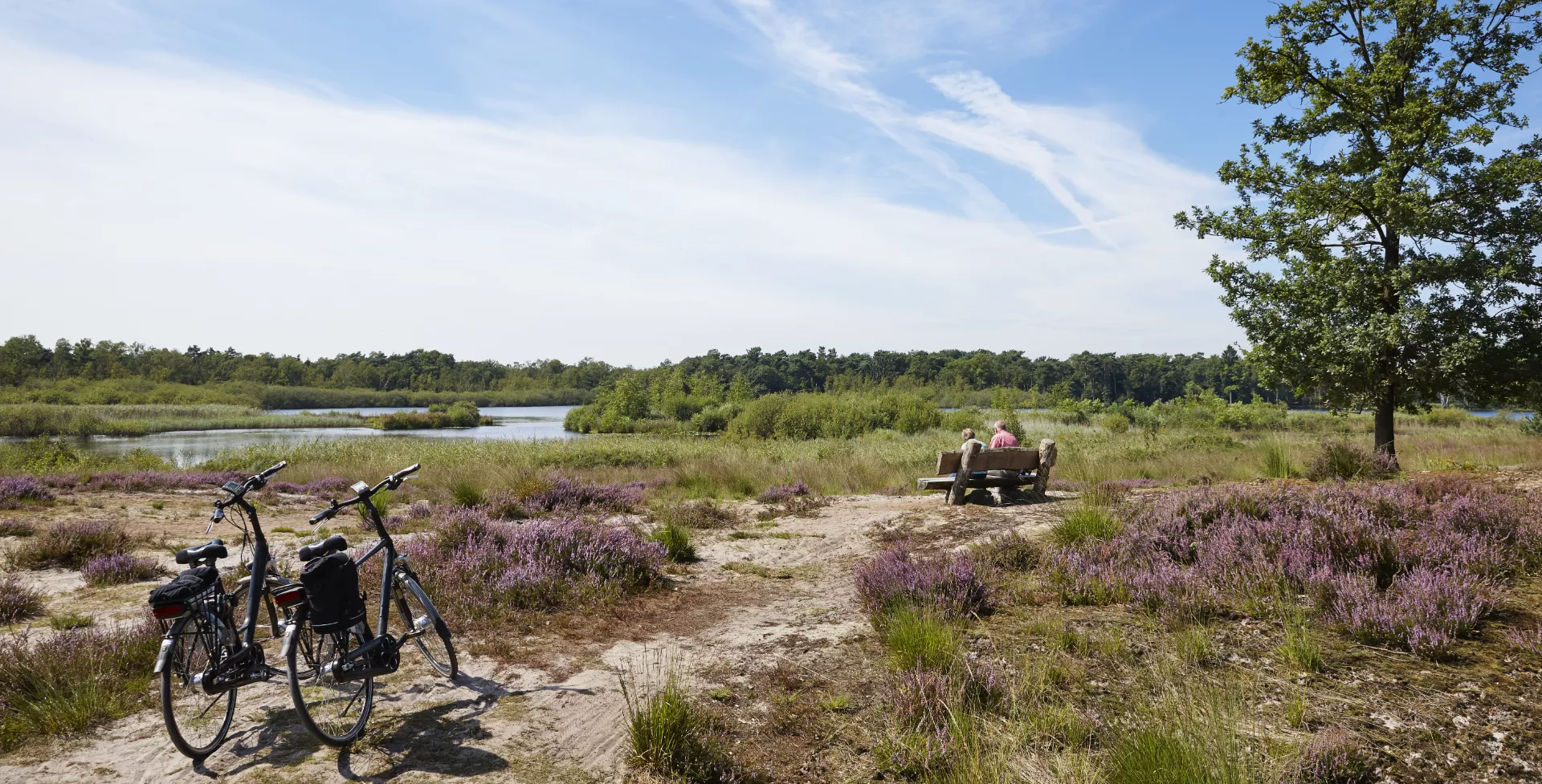 Kampina natuurgebied tussen Oisterwijk en Boxtel in Noord-Brabant in Nederland