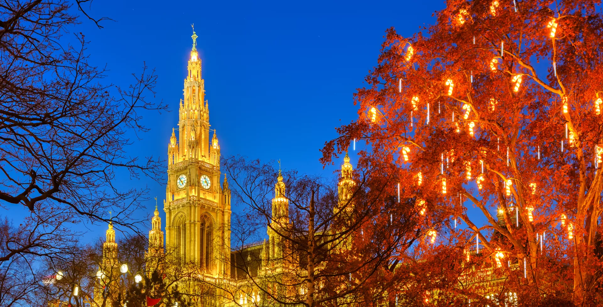 Kerstcruise over de Donau - Wenen 2