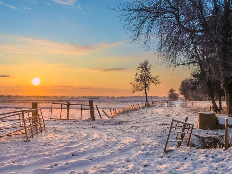 60+ kerstreis Drenthe