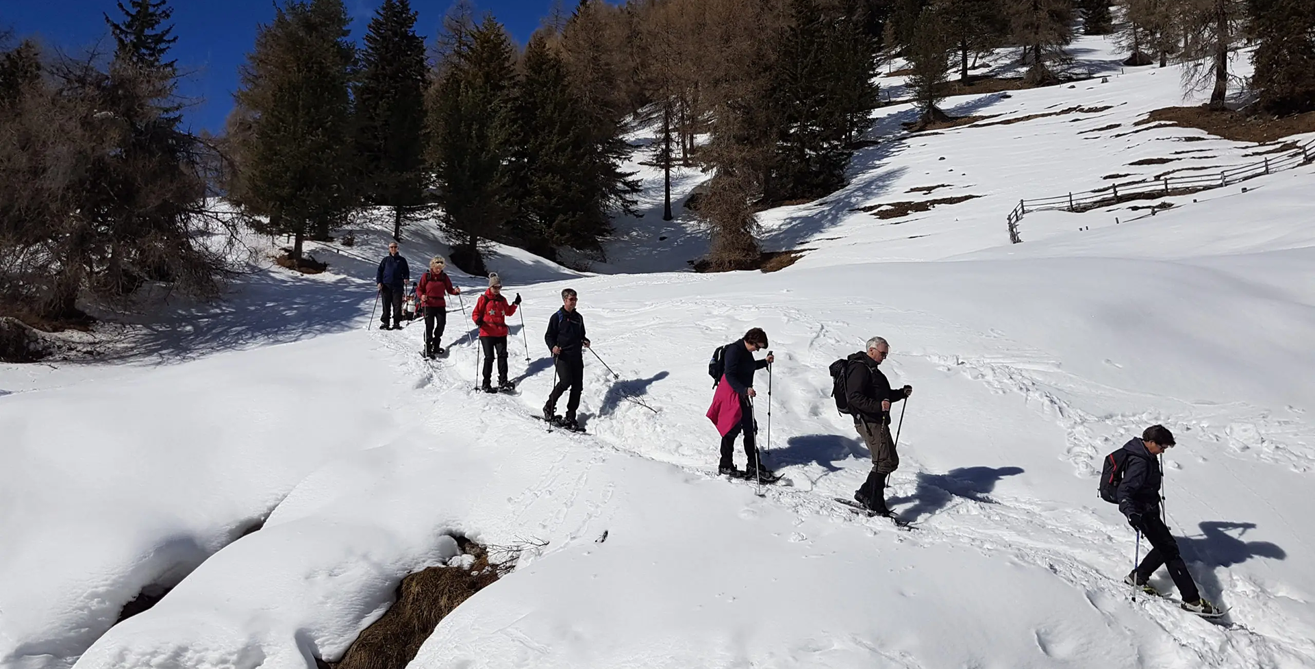 Wandelreizen-Dolomieten-Lusneralm